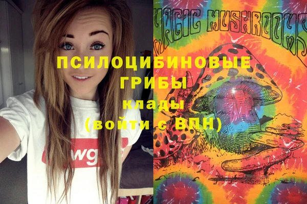 скорость Богородицк